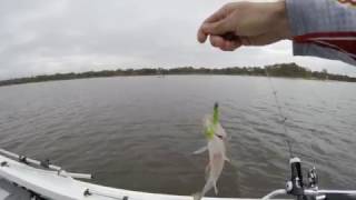 Fishing for Reddies day trip @ Lake Eppalock