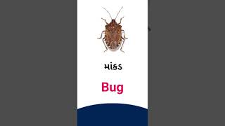 Bug meaning in Gujarati - English Dictionary