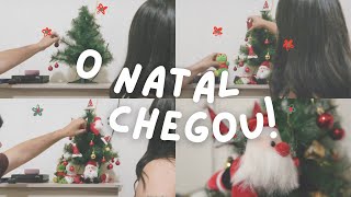 MONTAMOS A NOSSA MINI ÁRVORE DE NATAL! 🎄🎅🏼 *Perfeita para quem tem gatos* | @ClickdaJu