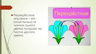 Опыление цветков биология 7 кл