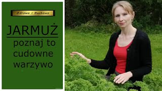 Właściwości i zastosowanie jarmużu. Permakultura. Zdrowy, zielony sok. Uprawa jarmużu w trawniku.