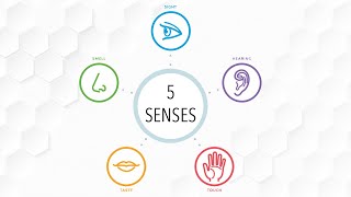 Mindfulness - 5 Senses (5 min)