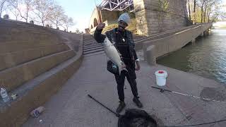 Bank Fishing B Ohio River serpentine Wall Cincinnati