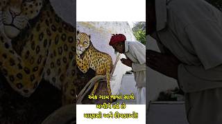 દીપડા | chito | dipda | એક ગામ જ્યાં સાથે મળીને રહે છે માણસો અને દીપડાઓ!