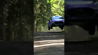 WRC 2022 Rally Finland 39#shorts