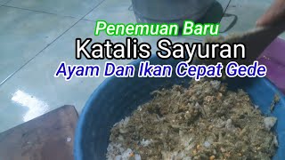 Menu Pakan Ayam Pakai Starter Herbal  Multi Vitamin, Karbohidrat dan Kalsium.