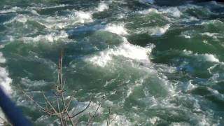 Flip Ultra HD Video Wild River