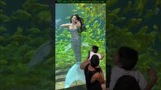 mermaid in aquarium job 🤯 Wood working with art handcraft ideas | skill-art #shorts