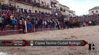 Excursión Ciudad Rodrigo 2015 La capea y el Desencierro por YoTaurino.net (Parte 2 de 3)