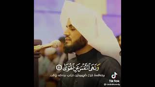 beautiful Qur'an recite of muhammad raad al kurdi