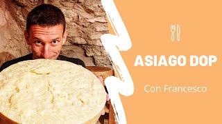 Formaggio Asiago DOP stagionato 5 anni - Apertura della forma