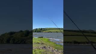 Beautiful kingsbridge estuary fishing for gilt head bream.