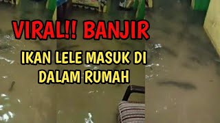 BANJIR MEMBAWA BERKAH!! IKAN LELE MASUK DI DALAM RUMAH