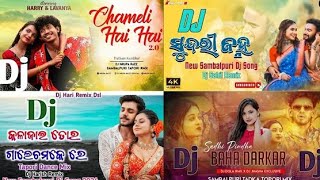 Top 4 Sambalpuri Dj Song 2024 | 2024 Viral Sambalpuri Nonstop Dj Song || Top Sambalpuri dj Sudhir