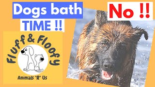 Dogs bath time! Some Dogs Do Not Want To Bath & some ENJOY bathing! #shorts