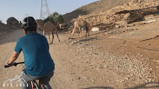 CAMEL ENCOUNTER | 2nd RIDE