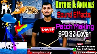 Animal &Nature's Sound Effect Patch Making On SPD30Octapad,Birds,Thunder, Water,Rain,Dog& Wind Sound