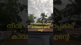 താരം പതിപ്പിച്ച കൂടാരം..#driving #beautiful #travel #shorts #ytshortsindia