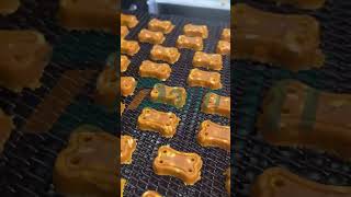 Baked Dog Biscuit Making Machine/How to Make Baked Dog Biscuits #machine #factory