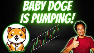 BABY DOGE Is About To TAKE OFF Again!