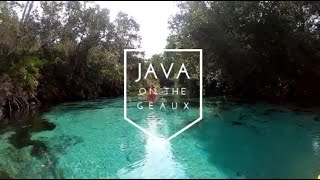 Java On The Geaux- Weeki Wachee Springs