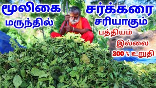 NATURAL SUGAR FREE MEDICINE |சர்க்கரை 23 நாளில் குணமாகும் | 500 to 800 Level சரி பண்ணலாம் |