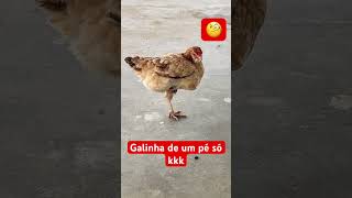 Galinha de um pé só