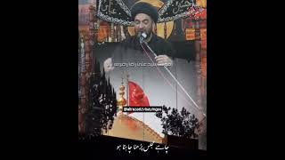 Maulana Kaise Bane  | Maulana Syed Ali Raza Rizvi #paigham #maulana #imamhussain #molaabbas #shorts