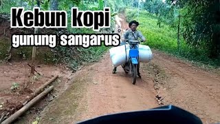 Perjalanan ke kebun kopi Gunung Sangarus Tanggamus