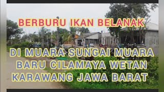 Berburu ikan belanak di kali Muara Baru, Krajan Apur, Muarabaru, Kec Cilamaya, Karawang Jawa Barat