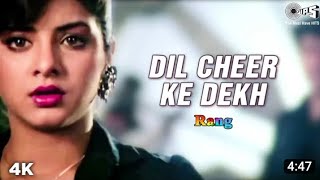 Dil Cheer Ke Dekh || Diwya Bharti|| Kumar sanu|| Rand Movie|| #bollywood