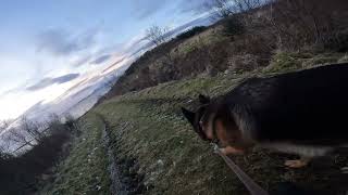 German shepherd on walk. Eros på tur. 07.12.2024. youtubes most boring video part 1.we see eagles