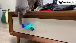 CAT TOURNE™- TOURNIQUET POUR CHAT