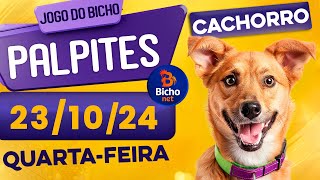 PALPITE DO DIA 23/10/2024 - JOGO DO BICHO 🍀 TODAS AS LOTERIAS 🍀