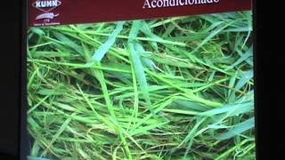 Agro Avisos Tv Programa1BLOQ 6 _xvid.avi