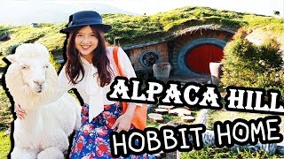 Alpaca Hill - บุกรังอัลปาก้าและบ้านฮอบบิท !! [ สวนผึ้ง ราชบุรี ] | ArisajungWorld