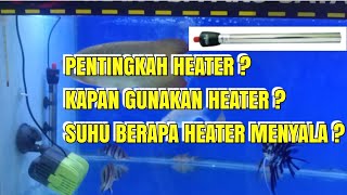 Heater aquarium / Hikari Stainless / Fungsi Heater / Suhu Aquarium