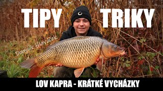 LOV KAPRA - KRÁTKÉ VYCHÁZKY \ DOMINIK HLAVÁČEK \TIPY A TRIKY