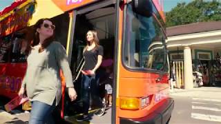 City Sightseeing: Hop On Hop Off Busses, Special Production (30 Second)