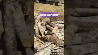 WOOD CHIP KAYU AKASIA #produksi#export