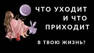 Что уходит и что приходит в твою жизнь?🪷