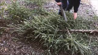 Christmas tree destruction in time lapse mode