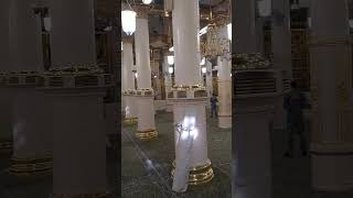 Rindu kota Madinah #rasulallahﷺ  #raudhatuljannah #masjidnabawi