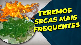 CONHEÇA O CICLO DE DESTRUIÇÃO DA AMAZÔNIA