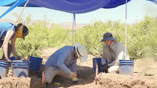 Archaeology Field School