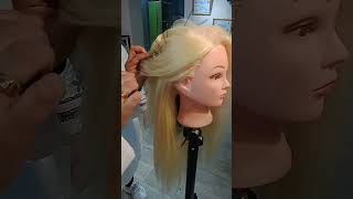 شينيو chignon 3d