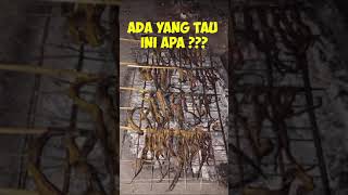 Ada Yang tau ini apa ?