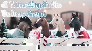 A Winter Day In The Stallions Pasture - Schleich Horse Short Film - |SchleichMas Day 2