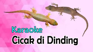 cicak di dinding karaoke