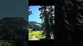 Tipsoo Lake at Mt. Rainier National Park